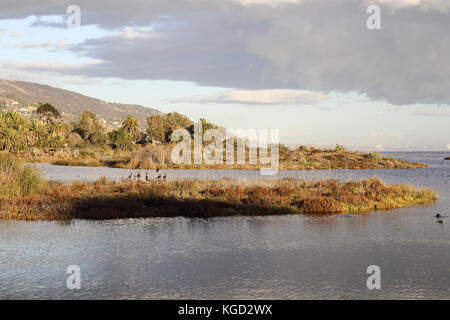 ruhigen Spätnachmittag Malibu Lagoon State Beach, Malibu Kalifornien Stockfoto