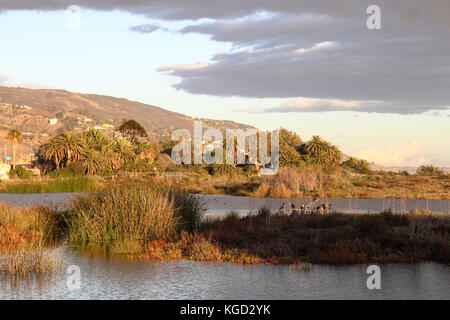 ruhigen Spätnachmittag Malibu Lagoon State Beach, Malibu Kalifornien Stockfoto