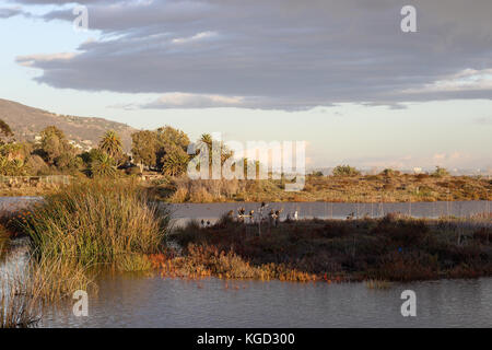 ruhigen Spätnachmittag Malibu Lagoon State Beach, Malibu Kalifornien Stockfoto