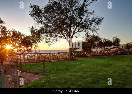 Am späten Nachmittag in Palisades Park, Santa Monica, Kalifornien Stockfoto