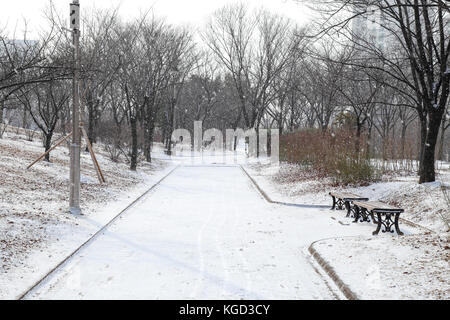 Bänke in einer kalten und schneereichen Tag in einem ruhigen Park, Südkorea Stockfoto