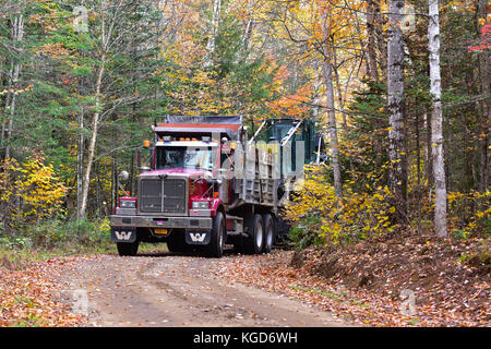 Western Star Dump Truck schleppen ein log Skidder auf einer Protokollierung Straße durch die Adirondack Wald im Herbst. Stockfoto