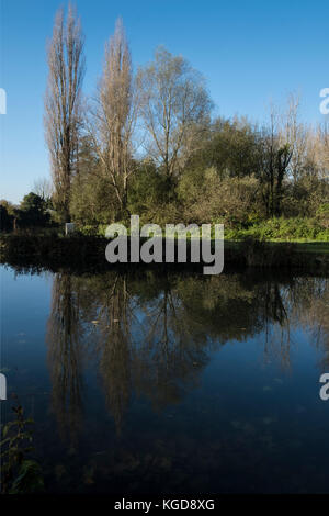 Fluss Itchen Winchester auf einem herrlichen sonnigen Herbsttag. Die itchen River ist ein Fluss in Hampshire, England. Er fließt von Mitte Hampshire Stockfoto