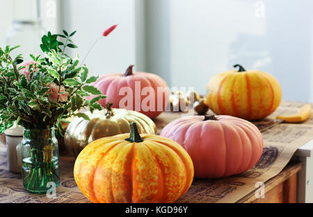 Bemalte Kürbisse in der kreativen Werkstatt Stockfoto