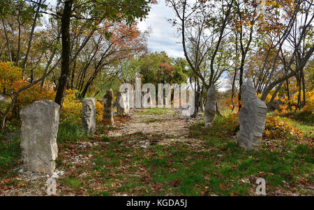 Herbstfarben im Karst Karst Kalkstein Gebiet von Friaul, in der Nähe von aurisina in Nord-Ost Italien. Dies ist Teil einer ersten Weltkrieg Fuß Trai Stockfoto