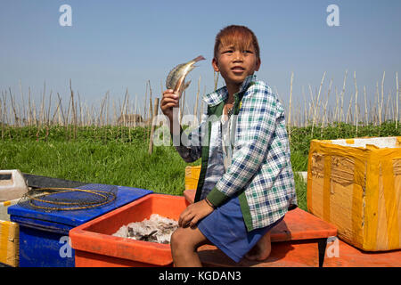 Die jungen burmesischen Jungen, frischen Fang in einem kleinen Boot auf dem Inle-See, nyaungshwe, Shan Staat, Myanmar/Burma Stockfoto