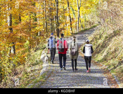 Zwei junge Paare mit Hund, Wandern in einem Park im Herbst Wald Stockfoto