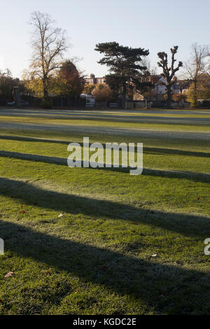 An einem kalten Herbstmorgen im Südwesten Londons, England, werfen Bäume Schatten auf die Fußballfelder mit Mattrand im Freizeitpark Dundonald Stockfoto