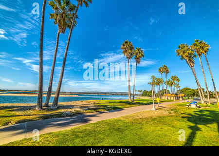 Palmen in der Mission Bay in San Diego, Kalifornien. Stockfoto