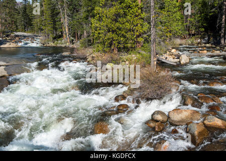 Der Merced River fließt durch den Yosemite National Park. Stockfoto