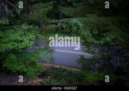 Straße schneidet durch dick Oregon Wald im Sommer Stockfoto