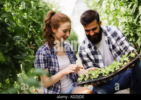 Bild von Paar Landwirte Sämling Sprößlinge in den Garten Stockfoto