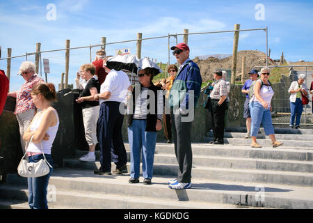 Touristen in Cliffs of Moher, die an einem heißen Juni-Sommertag unter dem Sonnenschirm Schutz vor der Sonne suchen, Liscannor, Co. Clare, Irland Stockfoto