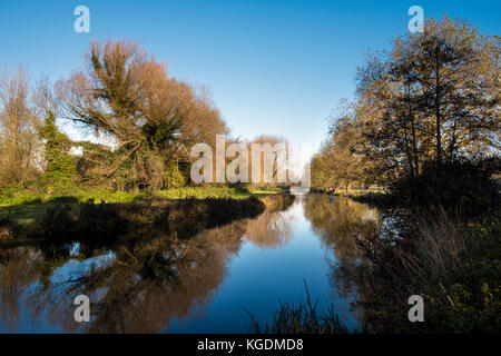 Fluss Itchen Winchester auf einem herrlichen sonnigen Herbsttag. Die itchen River ist ein Fluss in Hampshire, England. Er fließt von Mitte Hampshire Stockfoto