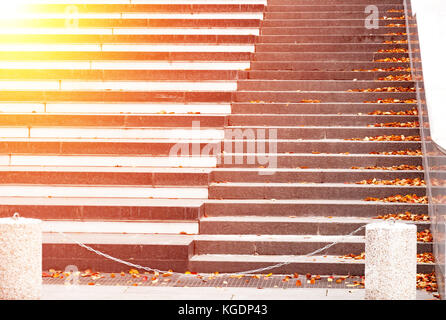 Eine steinerne Treppe mit der Gefallenen leuchtend gelben Blätter im Herbst gestreut. mit dem Blur und hellen Highlight Stockfoto
