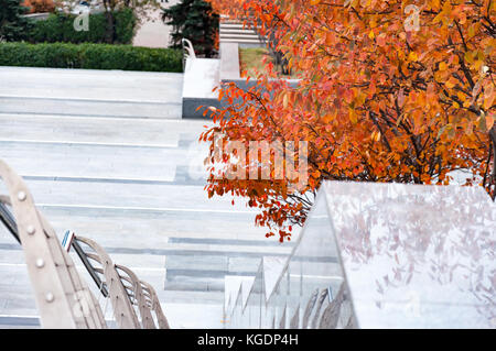 Eine steinerne Treppe mit der Gefallenen leuchtend gelben Blätter im Herbst gestreut. mit dem Blur und hellen Highlight Stockfoto