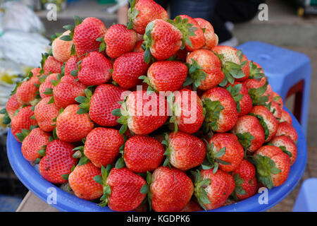 Rote Erdbeere Verkauf in Dalat Markt, Vietnam Stockfoto