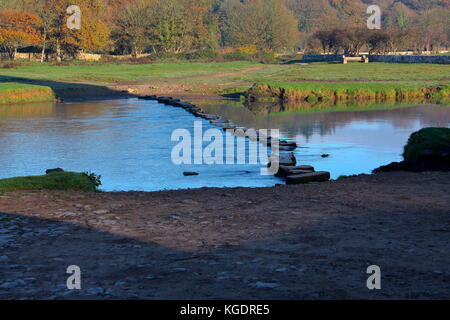 Die berühmte Trittsteine auf ogmore Schloss, wo der Fluss Ewenny, ohne sich die Füße nass (hoffentlich) gekreuzt werden können. Stockfoto