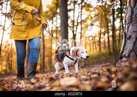 Ältere Frau mit Hund auf einem Spaziergang im Wald.