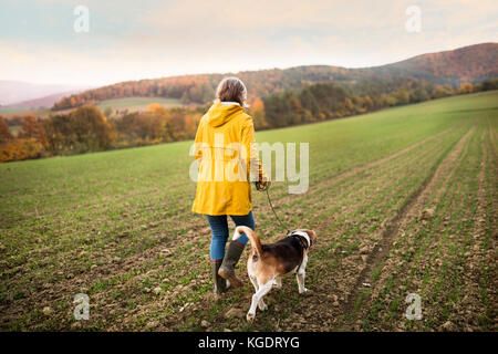 Ältere Frau mit Hund auf einem Spaziergang in einem Herbst Natur. Stockfoto