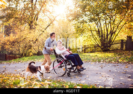 Älterer Mann, Frau im Rollstuhl und Hund im Herbst Natur. Stockfoto