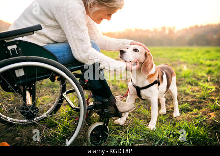 Eine ältere Frau im Rollstuhl mit Hund im Herbst Natur.