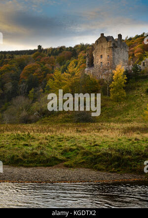 In der Nähe von Peebles Neidpath Castle in den schottischen Borders die sitzt oberhalb des Flusses Tweed. Stockfoto