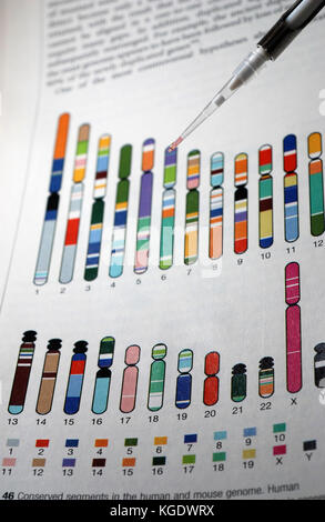 Dna-Forschung mit Grafiken Diagramme Referenz im Hintergrund Stockfoto