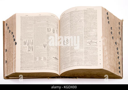 Webster's New International Dictionary der Englischen zweiten Edition ungekürzte Fassung gedruckt 1955 öffnen, auf weißem Hintergrund