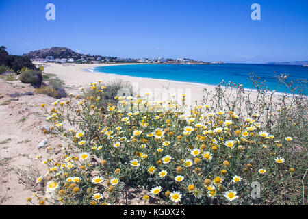 Strand von Mikri Vigla, Westseite der Insel Naxos, Kykladen, Ägäis, Griechenland Stockfoto