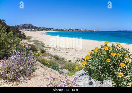 Strand von Mikri Vigla, Westseite der Insel Naxos, Kykladen, Ägäis, Griechenland Stockfoto