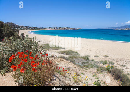 Strand von Mikri Vigla, Westseite der Insel Naxos, Kykladen, Ägäis, Griechenland Stockfoto