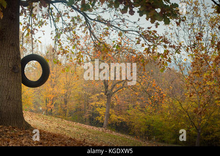 Reifenschaukel im herbstlichen Garten, mit Copyspace. Herbstlaub Tapete, Herbst oder Thanksgiving Hintergrund. Stockfoto