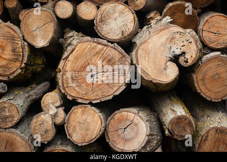 Brennholz Muster. Stapel von gestapelten Holzstämmen. Umweltverschmutzung Konzept, Winter Inspiration, Hygge Textur. Hintergrund oder Hintergrundbild. Stockfoto