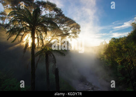 Waikite Thermal Valley Stockfoto