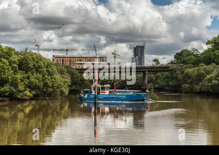 Parramatta, Australien - März 24, 2017: Australische Umweltdienstleistungen reinigt Verschmutzungen und Bäume aus dem Parramatta River in der Nähe der Stadt mit Blau Stockfoto