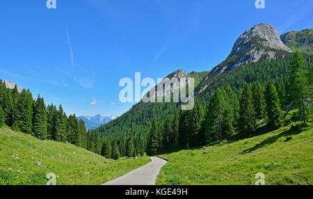 Die mitte Juni ländliche Landschaft mit den Karnischen Alpen rund um cason di Lanza in der Nähe von paularo, Friaul Julisch Venetien, North East Italien Stockfoto