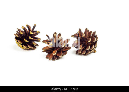 Auf einem weißen Hintergrund Es gibt drei Tannenzapfen vom Wald Stockfoto
