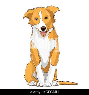 Gelber Hund, Symbol für das Jahr 2018, Vektor Zeichnung. gelb cartoon shaggy Dog in voller Länge auf weißem Hintergrund Stock Vektor