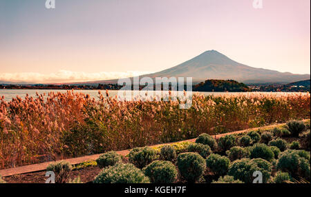 Fuji von See kawaguchiko Natural Living Center im Herbst montieren Stockfoto