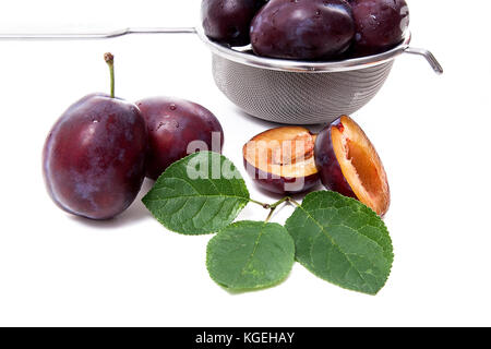 Stahl mit Fettaufsaugendem Süsse saftige Pflaumen, ganze und halbe reife Pflaumen mit Blatt vor dem Sieb auf einem weißen Hintergrund. Stockfoto