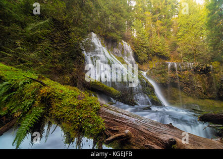 Jam Anmelden von Panther Creek Falls bei Gifford Pinchot National Forest im Staat Washington Stockfoto