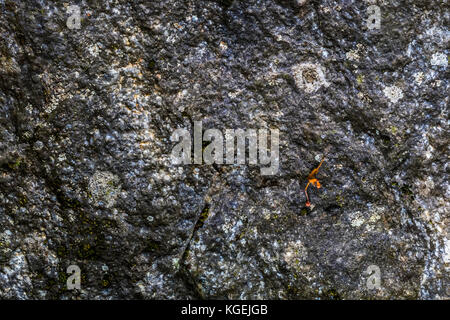 Strukturierte alte Granitwand: Ein natürlicher abstrakter Hintergrund. Granitstein-Textur, Nahbild, Tapete und Textur für das Rendern geeignet Stockfoto