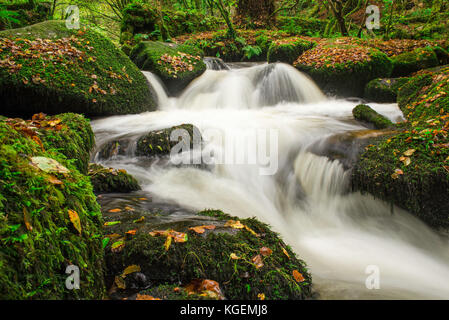 Kennall Fluss; Kennall Vale Cornwall Stockfoto