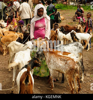 Lalibela, Äthiopien - 31. August: Lokale äthiopische Volk, ein Markt Händler in der Stadt in Äthiopien lalibela Lalibela im August 31, 2013 Stockfoto