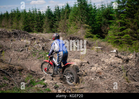 Motorcross-Fahrer auf einem Cross-Trail, der seine Fähigkeiten in schwierigem Gelände demonstriert Stockfoto