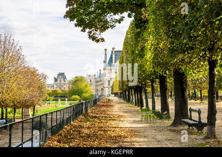 Die flore Pavillon des Louvre aus der Tuilerien in Paris gesehen, ein sonniger Herbstnachmittag, für die Ausrichtung von Linden, Metall Stockfoto