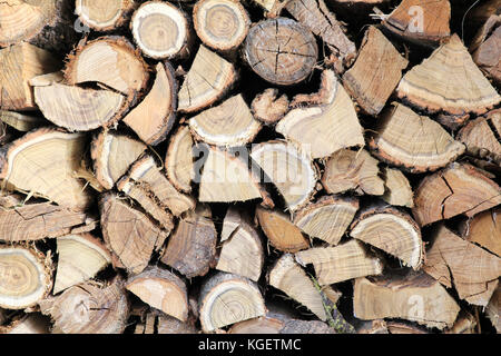 Trunks aus Holz schneiden und Stapeln Stockfoto