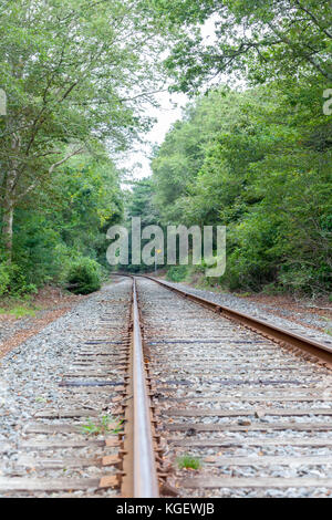 Zug Schienen zu Kurve auf der linken Seite Stockfoto