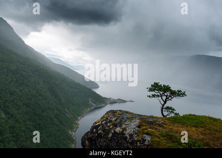 Misty Morning auf tingvollfjorden flord Stockfoto